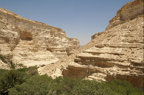 Ein Avdat National Park